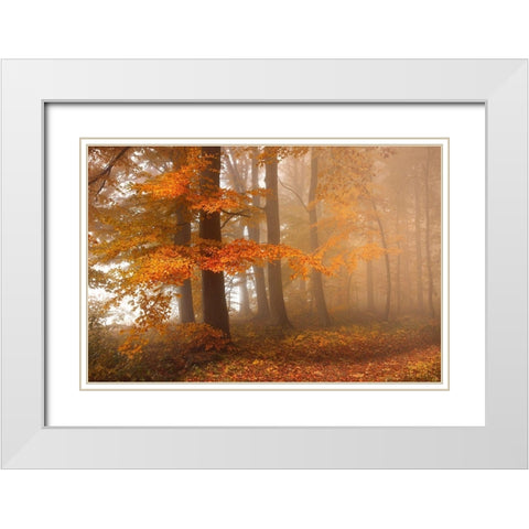 Edge of the woods White Modern Wood Framed Art Print with Double Matting by Schumacher, Nicolas