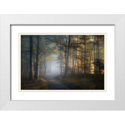autumn symphony White Modern Wood Framed Art Print with Double Matting by Maier, Norbert