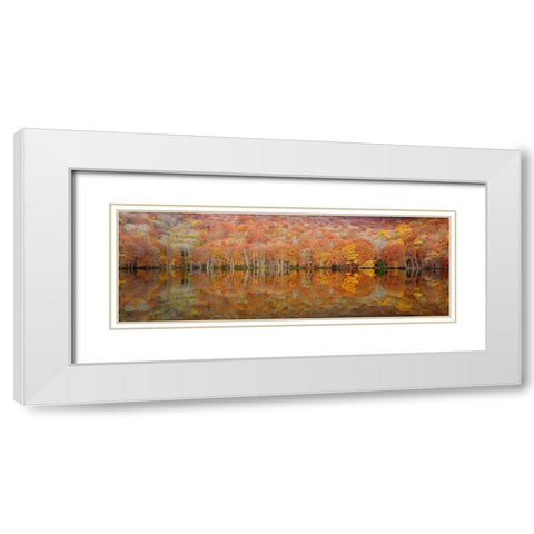 glowing autumn White Modern Wood Framed Art Print with Double Matting by Shibata, Sho