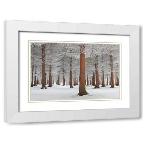 magical forest White Modern Wood Framed Art Print with Double Matting by Petrovic, Dragisa