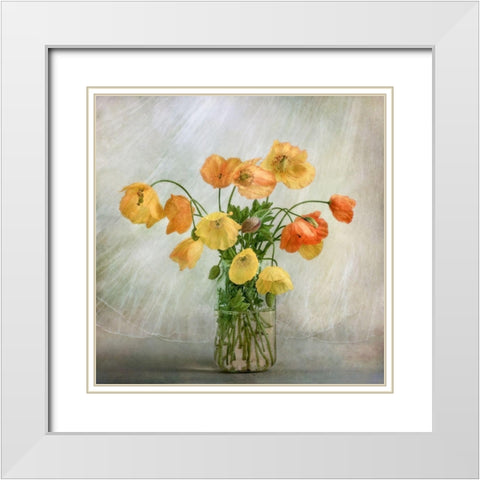 In the window White Modern Wood Framed Art Print with Double Matting by Disher, Mandy