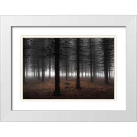 Silence White Modern Wood Framed Art Print with Double Matting by Petrovic, Dragisa