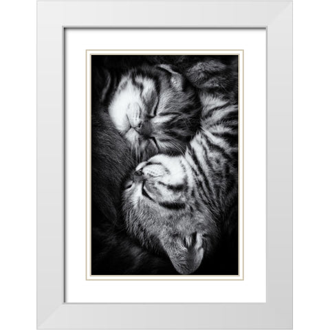 Yin and Yang White Modern Wood Framed Art Print with Double Matting by Jancova, Andrea