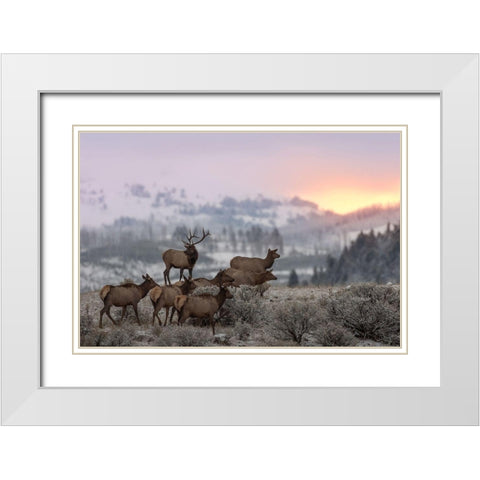 First Light White Modern Wood Framed Art Print with Double Matting by Kalathas, Nick