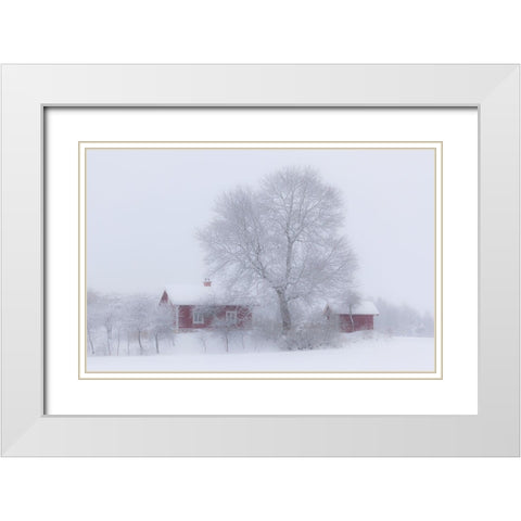 Winter idyll White Modern Wood Framed Art Print with Double Matting by Wallberg, Allan