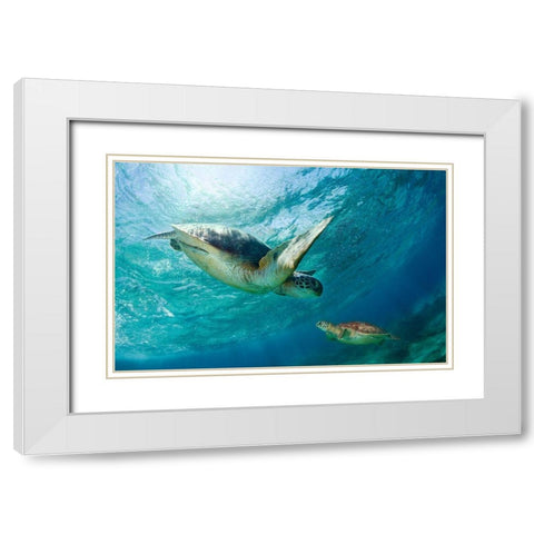 Contact White Modern Wood Framed Art Print with Double Matting by Narchuk, Andrey