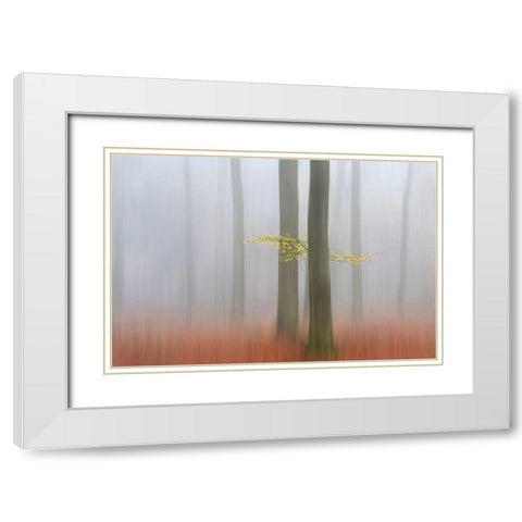 Autumnmorning White Modern Wood Framed Art Print with Double Matting by Limberg, Huib