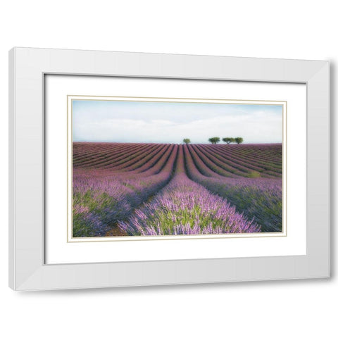 Velours de Lavender White Modern Wood Framed Art Print with Double Matting by Chernilova, Margarita