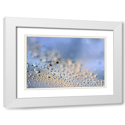 Crawling down White Modern Wood Framed Art Print with Double Matting by Westum, Heidi