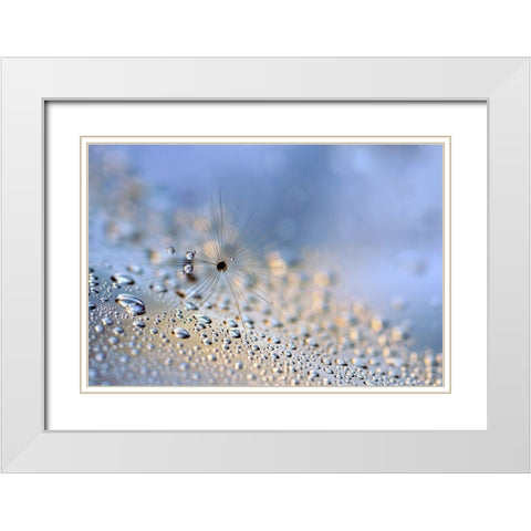 Crawling down White Modern Wood Framed Art Print with Double Matting by Westum, Heidi