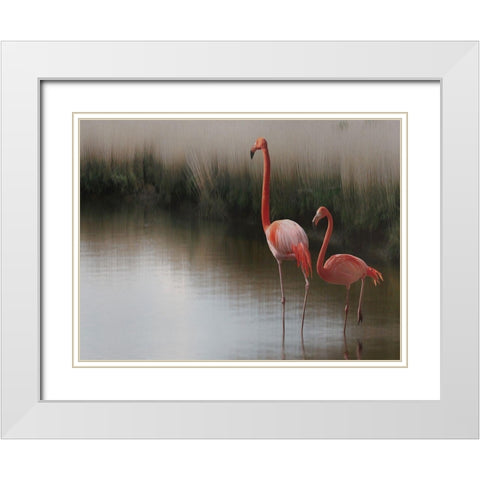 so zen ... White Modern Wood Framed Art Print with Double Matting by Cseresnjes, Anna