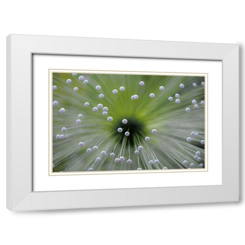 Green and White II White Modern Wood Framed Art Print with Double Matting by Faber, Wave