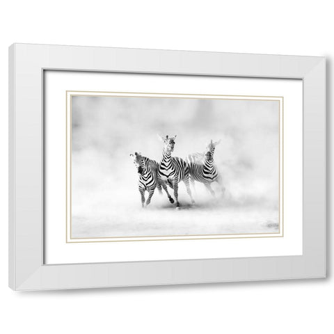 ZEBRAS White Modern Wood Framed Art Print with Double Matting by Luis Duran, Juan