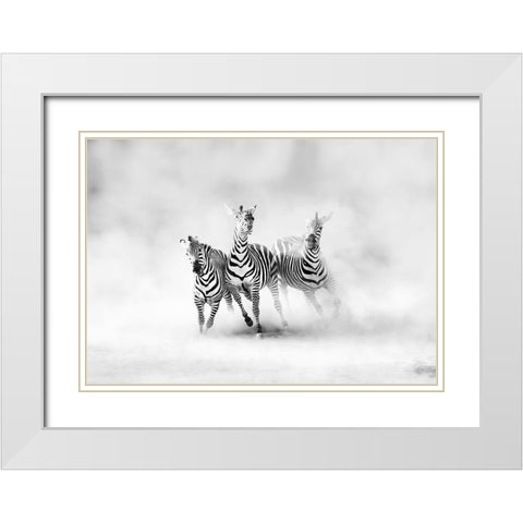ZEBRAS White Modern Wood Framed Art Print with Double Matting by Luis Duran, Juan