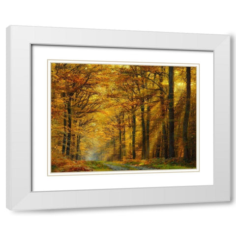 Enchanted Forest White Modern Wood Framed Art Print with Double Matting by Safronova, Marianna