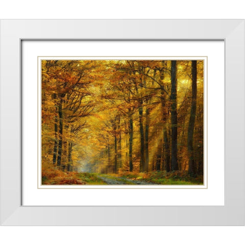 Enchanted Forest White Modern Wood Framed Art Print with Double Matting by Safronova, Marianna
