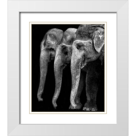 Natures great masterpiece an elephant; the only harmless great thing White Modern Wood Framed Art Print with Double Matting by Depaepe, Yvette