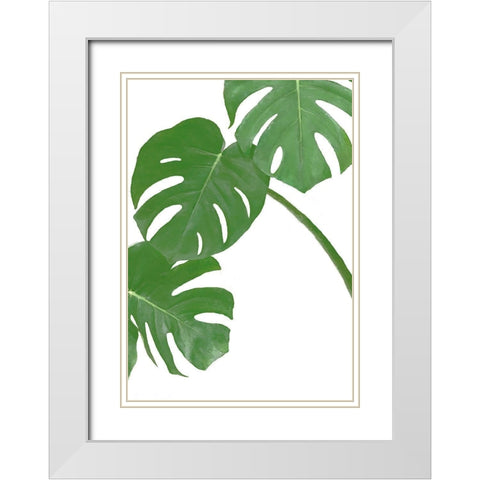 Monstera Green 01 White Modern Wood Framed Art Print with Double Matting by Artographie Studio
