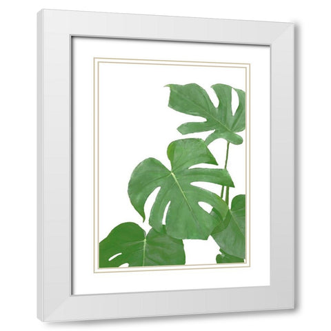 Monstera Green 03 White Modern Wood Framed Art Print with Double Matting by Artographie Studio