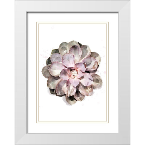 Succulent Plant 01 White Modern Wood Framed Art Print with Double Matting by Artographie Studio