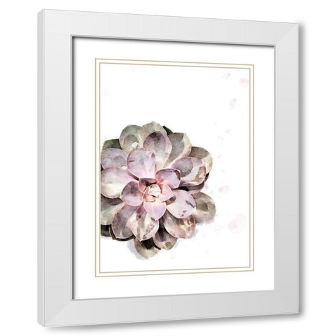 Succulent Plant 02 White Modern Wood Framed Art Print with Double Matting by Artographie Studio