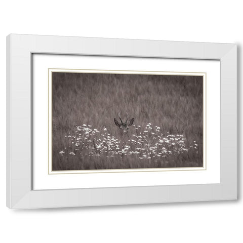 Hidden behind flowers White Modern Wood Framed Art Print with Double Matting by Wallberg, Allan