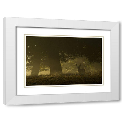 Magical sunrise White Modern Wood Framed Art Print with Double Matting by Cia, Inigo