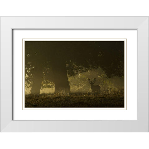 Magical sunrise White Modern Wood Framed Art Print with Double Matting by Cia, Inigo