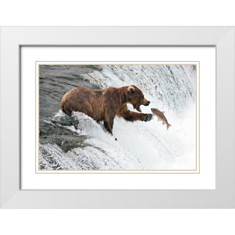 Unlucky  Jump White Modern Wood Framed Art Print with Double Matting by Stahl, Peter