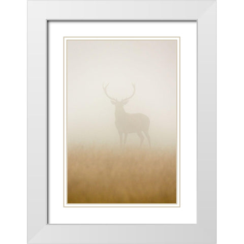 Ghost Stag White Modern Wood Framed Art Print with Double Matting by Harling, Stuart