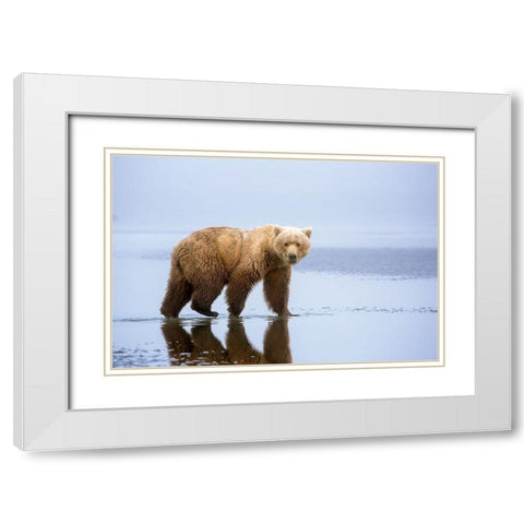 The Bear Walk White Modern Wood Framed Art Print with Double Matting by Doyle, Renee