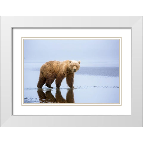 The Bear Walk White Modern Wood Framed Art Print with Double Matting by Doyle, Renee