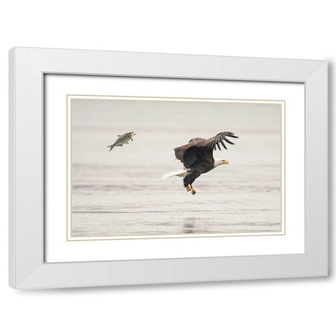 Flying Together White Modern Wood Framed Art Print with Double Matting by Tang, Wei