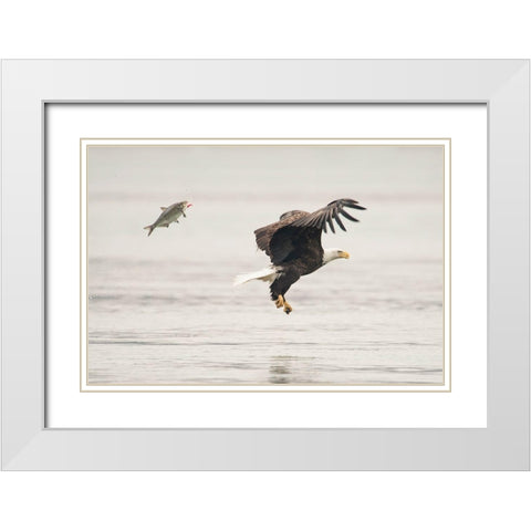 Flying Together White Modern Wood Framed Art Print with Double Matting by Tang, Wei