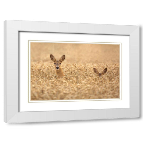 Mother with child White Modern Wood Framed Art Print with Double Matting by Wallberg, Allan