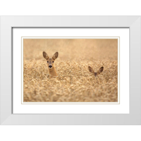 Mother with child White Modern Wood Framed Art Print with Double Matting by Wallberg, Allan