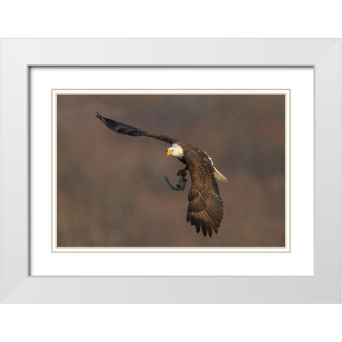 The Show Time White Modern Wood Framed Art Print with Double Matting by Hua, David