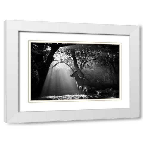Light and Deer White Modern Wood Framed Art Print with Double Matting by Matsui, Yoshinori