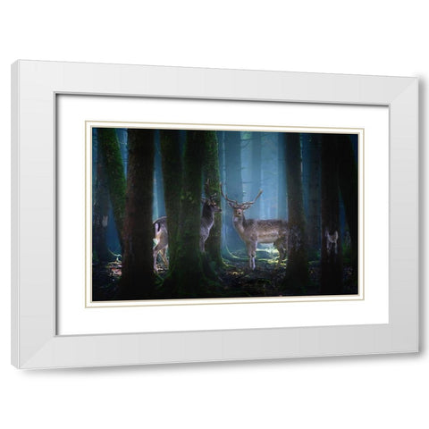 Deers White Modern Wood Framed Art Print with Double Matting by Aurednik, Patrick