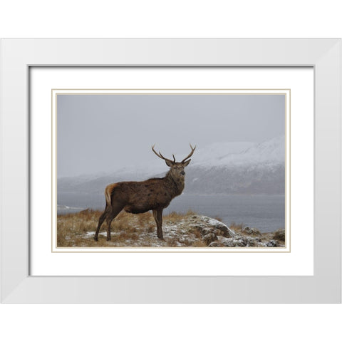 Proud White Modern Wood Framed Art Print with Double Matting by Uhlig, Dieter