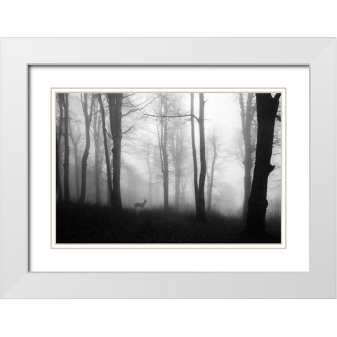 Forest White Modern Wood Framed Art Print with Double Matting by Nisan Kandilcioglu, Ummu