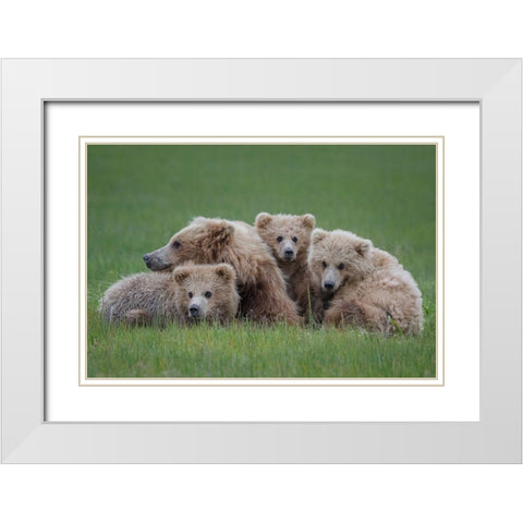 Bear Huddle White Modern Wood Framed Art Print with Double Matting by Doyle, Renee