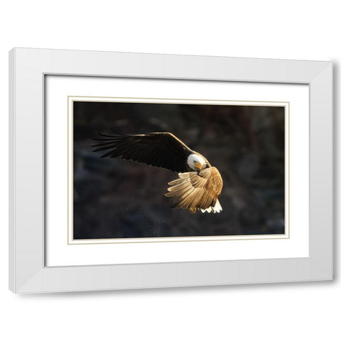 Whats going on White Modern Wood Framed Art Print with Double Matting by Huang, Tao