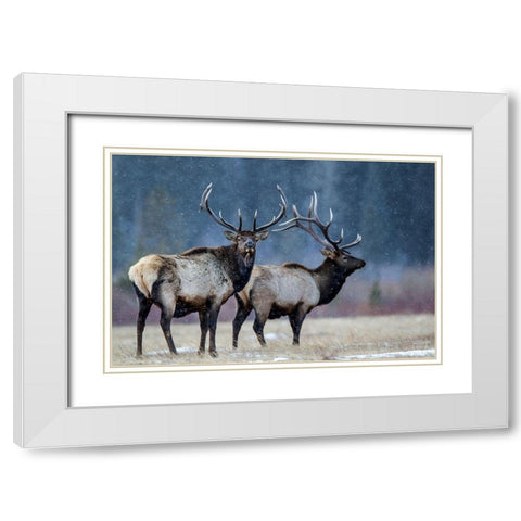 First snow White Modern Wood Framed Art Print with Double Matting by Verdon