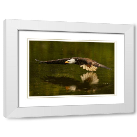 The Reflective Pond White Modern Wood Framed Art Print with Double Matting by Breau, Susan
