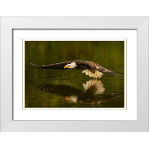 The Reflective Pond White Modern Wood Framed Art Print with Double Matting by Breau, Susan