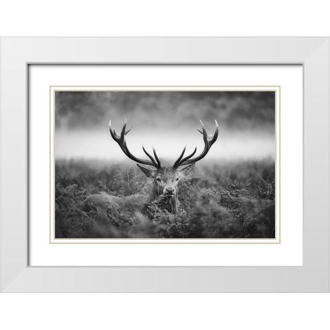 Majestic White Modern Wood Framed Art Print with Double Matting by Fabrowski, Robert