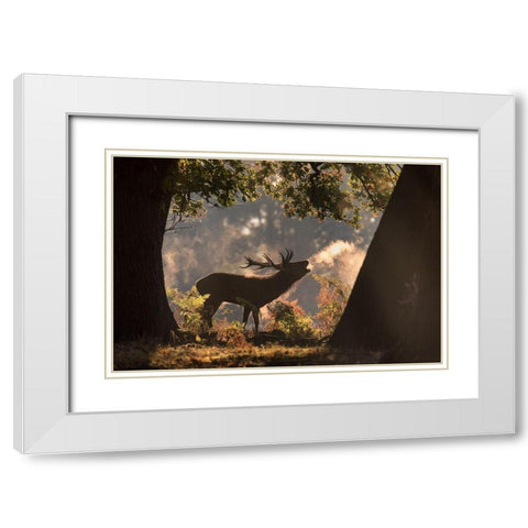 He Waits in the Shadows White Modern Wood Framed Art Print with Double Matting by Saberi, Alex