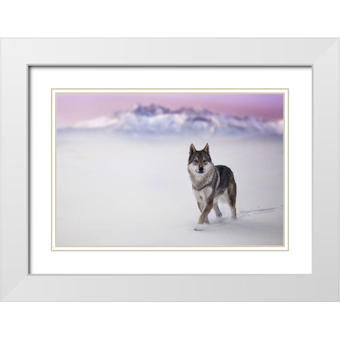 Yellow Eyes White Modern Wood Framed Art Print with Double Matting by Hricko, Stanislav