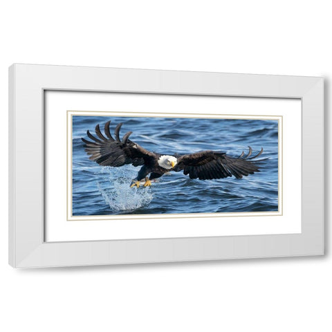 King of Mississippi White Modern Wood Framed Art Print with Double Matting by Fan, John